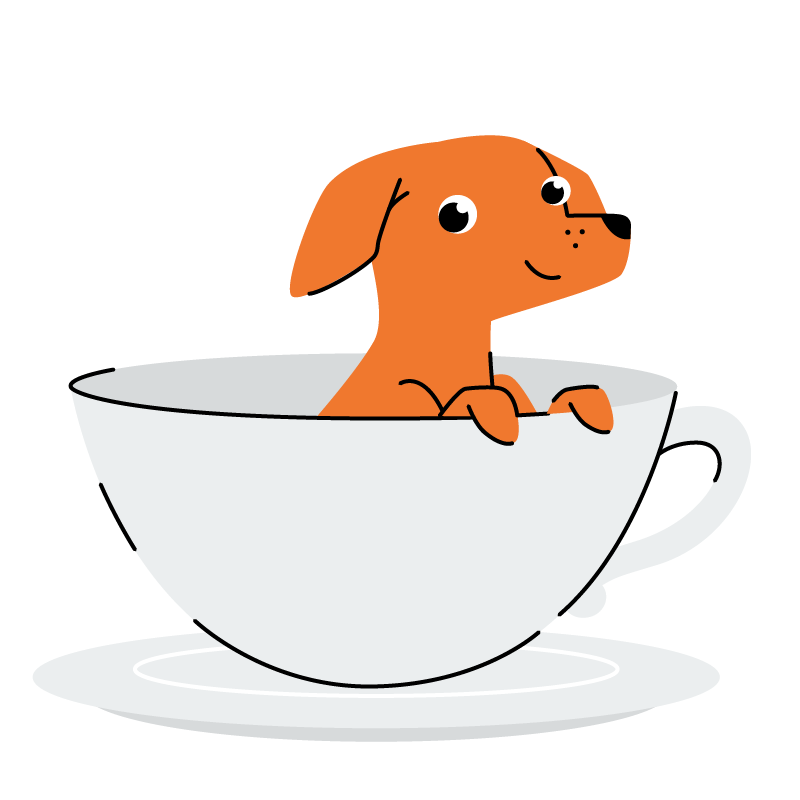 Hundeernährungsberaterin Heike Schiefer